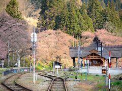 湯野上温泉駅 の桜

翌朝、今日も天気が良いです。
朝食前に、日本で唯一の萱葺き屋根の駅舎「湯野上温泉駅」を見に行きます。

春は、駅舎周辺のソメイヨシノなど約30本の桜が咲きます。
が、・・・・・・

満開になると駅舎の風情良いだろうな！
