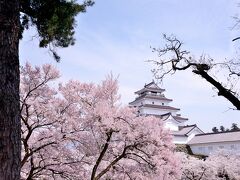会津若松 鶴ヶ城 の桜

人も多い中で、お弁当を広げていらっしゃる方々へ！
飲酒の上、騒がないで下さい。
静かに花見を楽しむ人もいます。