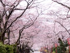 岳温泉 桜坂 の桜

今夜の泊まりは岳温泉
岳温泉神社からR459を挟んで鏡ケ池まで一直線が温泉街。
R459から鏡ケ池までが「桜坂」の名がついています。
