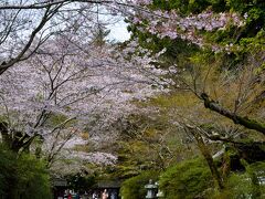≪（ひとつ前の旅行記で）西国三十三か所観音霊場の第13番札所の「石山寺」を訪れ、ご本尊・如意輪菩薩の33年に１度の御開扉という縁に恵まれ、また境内を彩る桜を楽しむことができました♪≫

　　その模様はコチラ：http://4travel.jp/travelogue/11120650