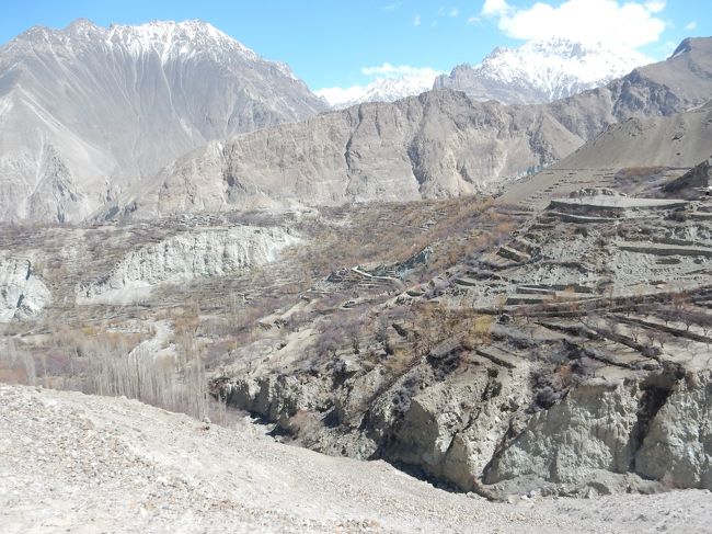 ナガールの一番奥にあるホパール氷河からは、来た道をひたすら逆送。<br /><br />車の向きも変わって、ナガール川の谷がよく見えるようになりました。<br />高さは軽く100メートルくらいはありそうです。<br />狭い道をジープですっ飛ばしているので、怖さも必要以上(笑)。