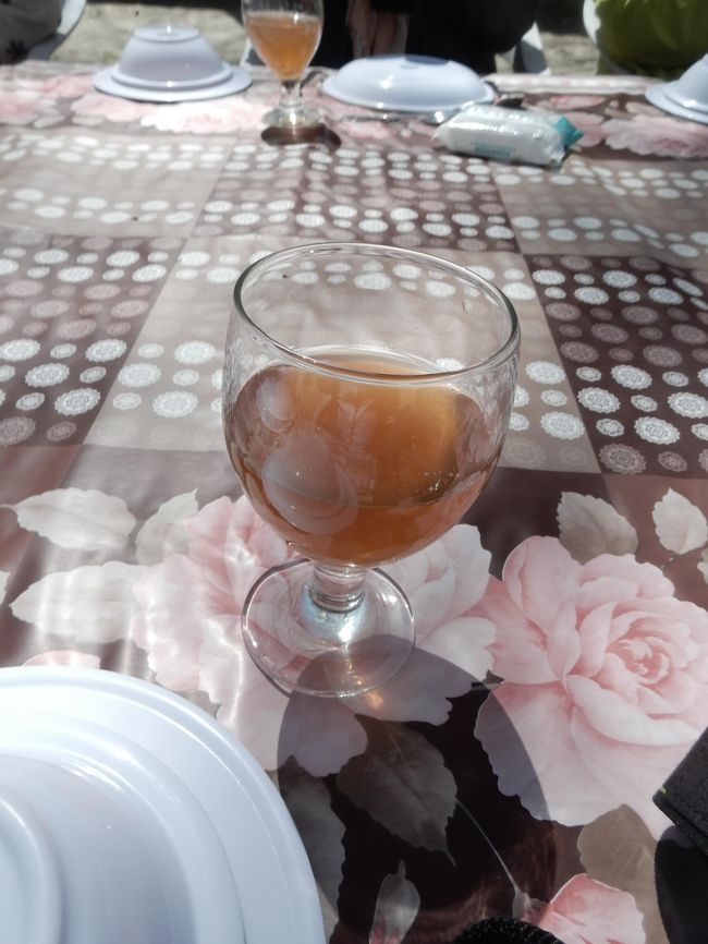 まずはウェルカムドリンクとして、アンズのジュース。<br /><br />これより美味しいジュースは日本でも容易に手に入れることはできますが、既成のジュースにはない野性味にあふれています。