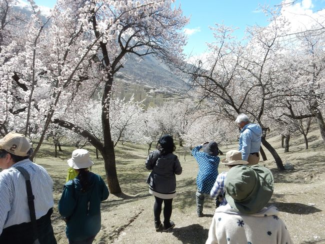 けっこうな坂道が見えたし、まあ時間があるんなら行っとくかな、という程度の気合い？しかなかった訪問でしたが、正直言ってここが今回の旅行の中で一番すさまじく花たちが咲き誇っている、ベストアルバム的な場所でした。<br /><br />メンバーたちもほうぼうで感嘆の声をあげ、夢中になって花を愛でカメラにおさめています。<br />私もすっかり食後の眠気が吹っ飛びました(笑)。