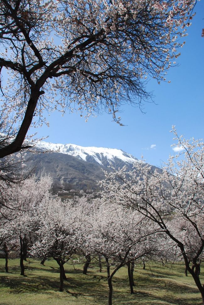 向こう側に見える、ディランにつながる山々とのコントラストも、本当にすごい(小学生並みの感想しか出ないw)。