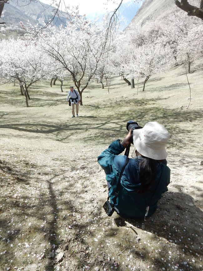 添乗員のKさんも大忙し。<br />けっこう無理な姿勢をとってまで、ベストのアングルを探してくれます。<br /><br />こういう所だからこそ記念に自分の写真を撮れば？と思って打診しましたが...<br />本当に職務に熱心でした(笑)。