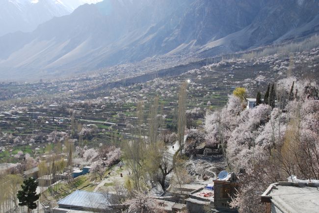 明日のこの時間にはもう目にすることが出来なくなっている、最後かもしれないフンザの絶景を堪能。<br /><br />この景色をひとりじめできる藩王が羨ましい(笑)。