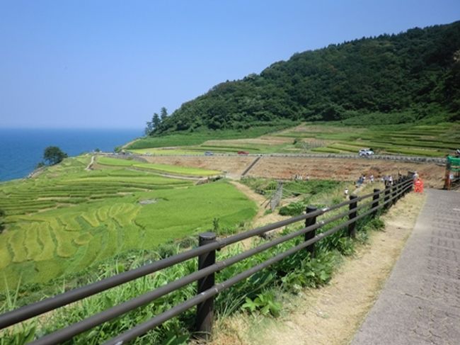 ただその美しさは上からみても、些かも損なわれることはない。