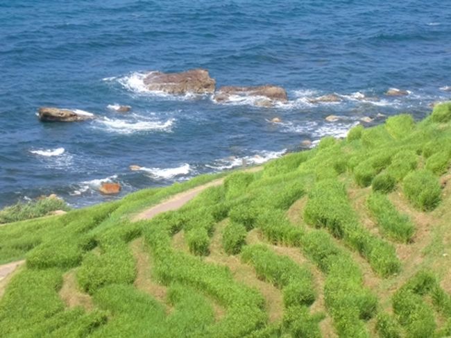 海際まで降りて、見上げれば、正しく『耕して天に至る』を実感できたのだろうけれど、暑くって、日差しがきつくって、アッサリ断念。