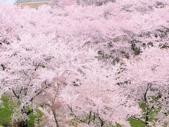 福島県立霞ヶ城公園(国指定史跡二本松城跡)