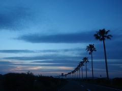 夕暮れ時の一有料道路。
空がきれいでした。
そして宮崎に入ってから、ず〜っと続くフェニックス。