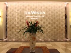 ウェスティン・ワシントンダレスエアポート

市内に泊まっても翌朝が早いので空港近くのホテルにしました。
スティーブン・F・ウドヴァーヘイジー・センターにはホテルから無料シャトルが出てるそうです。
午後は2時帰りは5時と言ってました。