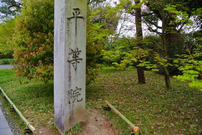 １日目は平等院。<br /><br />実は平等院および宇治まで行ったのは初めて。<br /><br />拝観料は大人６００円。