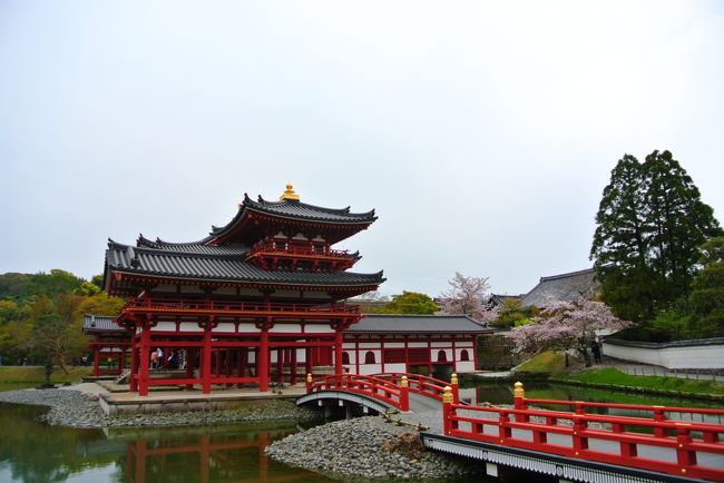 早速見えてきました！<br /><br />赤がこんなに綺麗なんですね。