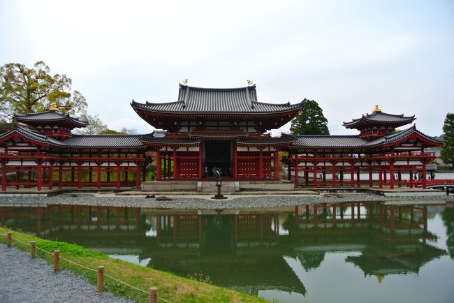 １０円玉〜！<br /><br />意外と写真集みたいに全部水に写るようには撮れない。笑<br /><br />そこまでのカメラ技術はない。笑