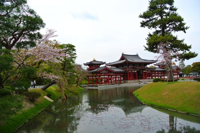 ところどころ桜が咲いてます。