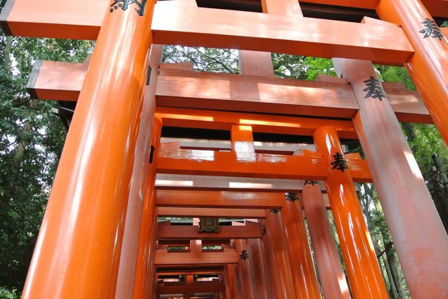 宇治から稲荷駅へ。（割と近い）<br /><br />伏見稲荷大社に行きました。<br /><br />千本鳥居。<br /><br /><br />ずっと前からあったけど最近になってものすごく人が増えましたね。