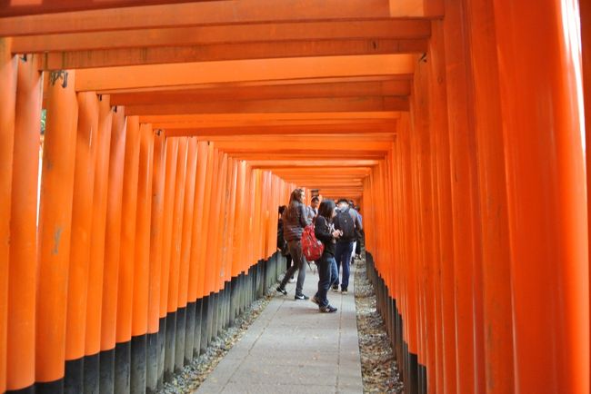 映画「SAYURI」で幼き千代（後のSAYURI）が、憧れの会長（渡辺謙）に出会った後、この千本鳥居を駆け抜け神社でお祈りをするというとても大好きなシーンがあります。<br /><br />再現したかったのですが、あまりの人の多さに走ることは絶対にできません。<br /><br />写真を撮るにもどうしても人が写ってしまう始末…。<br /><br />なお、ここに居るのはほぼ外国人です。