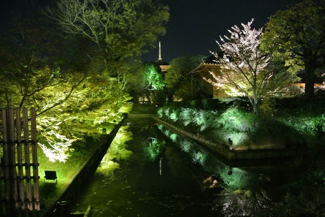 部屋についてダラダラしていたら、いつの間にか暗くなっていました。<br /><br />東寺で限定のライトアップを開催しているので見に行くことに。<br /><br />東寺には歩いて行けます。