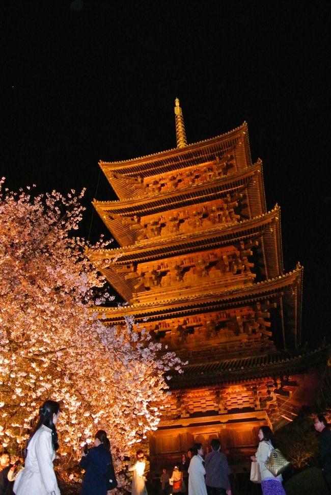 五重塔も綺麗なライトアップ。<br /><br />１日目はこれで終了。