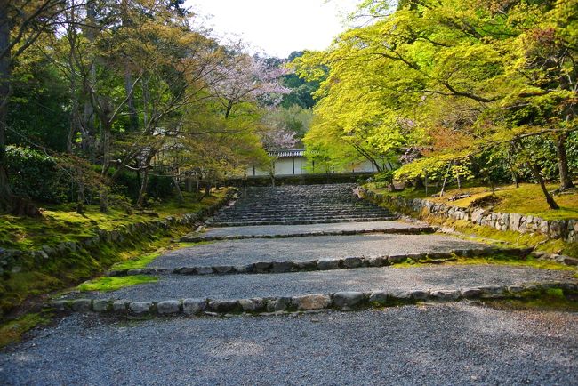 こんな人が写っていない写真撮れるなんて奇跡です。<br /><br />静かで落ち着きます。