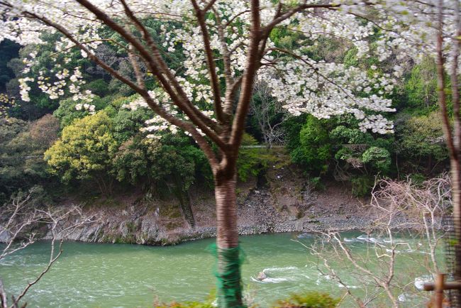 トンネルは寒いのですが、抜けると快適。<br /><br />走りながら写真を撮るので、めっちゃブレてる。