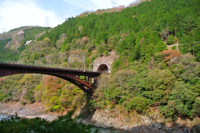 自然が多くて癒される。