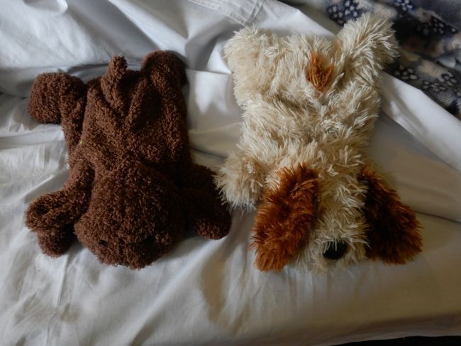 底冷えのする部屋で足元を温めてくれた湯たんぽ。<br />(基本は中身だけ交換でしたが、前の晩なぜかに新しいのを持ってきてくれたので2匹になりましたw)<br /><br />このホテルに泊まる際にはこの辺もお楽しみに(笑)。