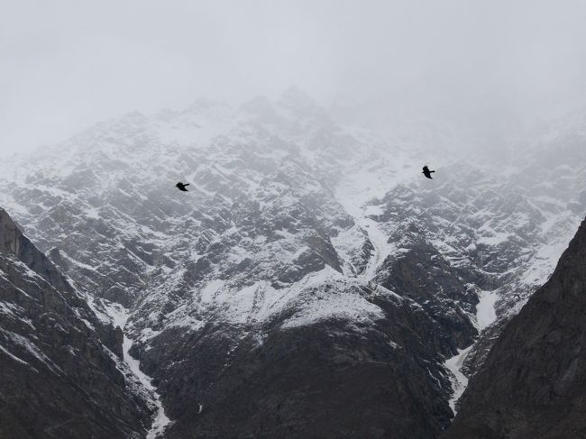 山は雲に隠れて、頂上の付近は見えなくなってしまいました。<br /><br />上空をカラスたちが群れをなして飛び続けています。<br />ところどころ渦を描くように飛んでいる場所もあるのですが...なんか獲物があるのかな(笑)。