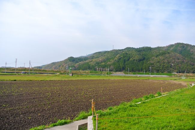 ただただ田畑が広がっている。笑<br /><br />トロッコ亀岡駅からＪＲ亀岡駅まで１０分ほど歩いて、そのまま京都駅へ。
