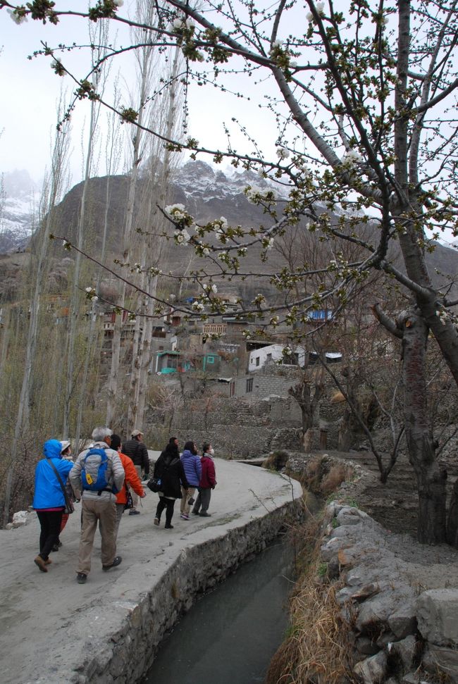 説明を聞きながら、各自のペースで水路ウォークへ。<br /><br />風が吹くたびに、どこからかやってきた花びらがさーっと目の前を通り過ぎていきます。