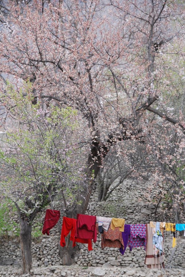 タイトルをつけるなら「日常」でしょうか。<br /><br />普段だと人工物を入れない構図を探すところですが、ここは見た瞬間に「この両方が入ってこそ絵になる」と感じました。