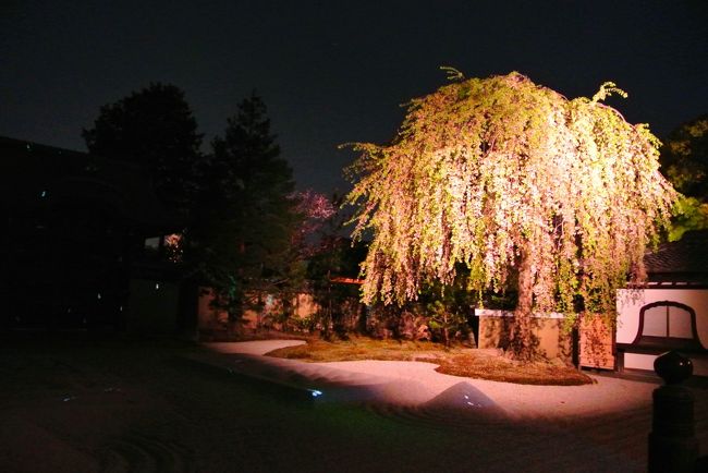 夜は高台寺のライトアップ。<br /><br />