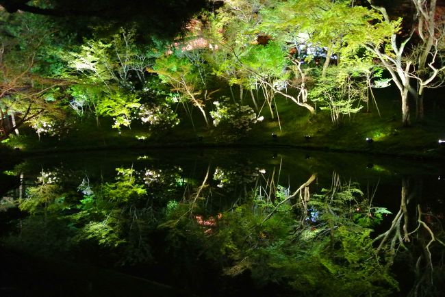 庭園。川に写っててきれい！