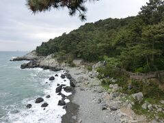 海雲台ビーチ西端は冬柏公園として海岸に沿って遊歩道が整備されています。