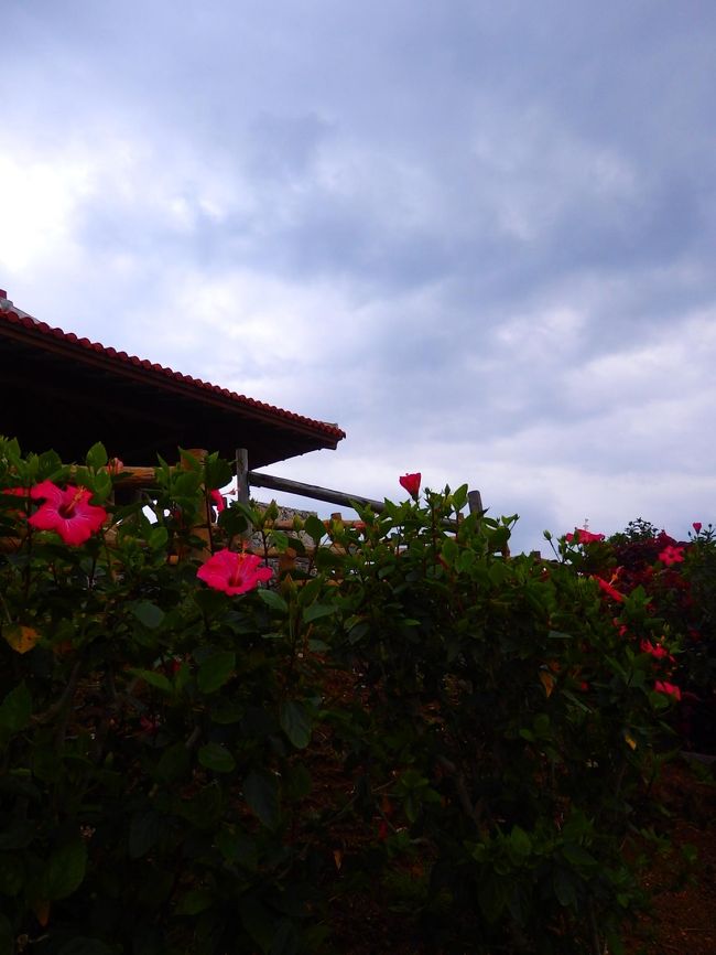 少しずつ天気が回復してきそうなので、玉取崎展望台へ!!<br />