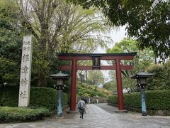 すでに5日前から根津神社ではつつじ祭りが開催されているが、まだツツジは咲はじめということだろうか、人出は少なく、境内は静かだ。
