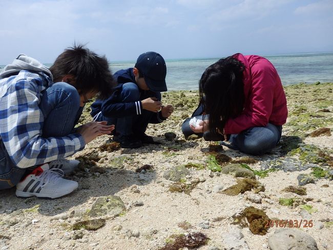 ちょっとダケ見つけました。