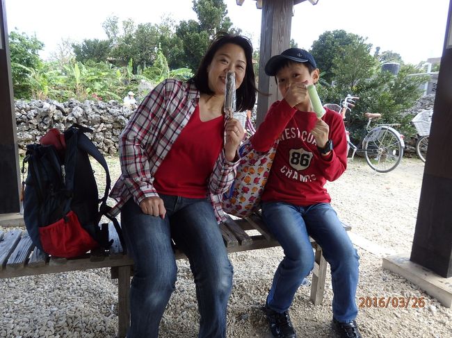 島アイスＧｅｔ！<br />たっ君親子は、さとうきびミルクと、ゴーヤ。<br />りん太親子は、シークヮーサーとゴーヤ。<br />ゴーヤが意外と美味しかったです！