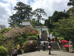 いよいよ本丸に入ります。

城内は小田原城址公園として整備されていて、桜やツツジなどの花が美しいスポットです。