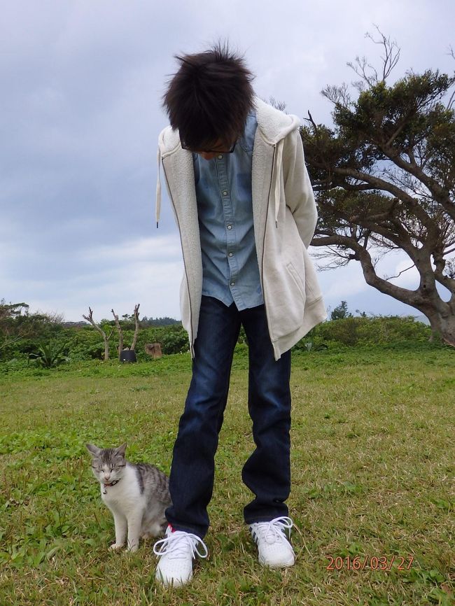 宮良農園の看板猫。<br />猫好きだけど、猫アレルギーのりん太。<br />触りたくてうずうずしてます。