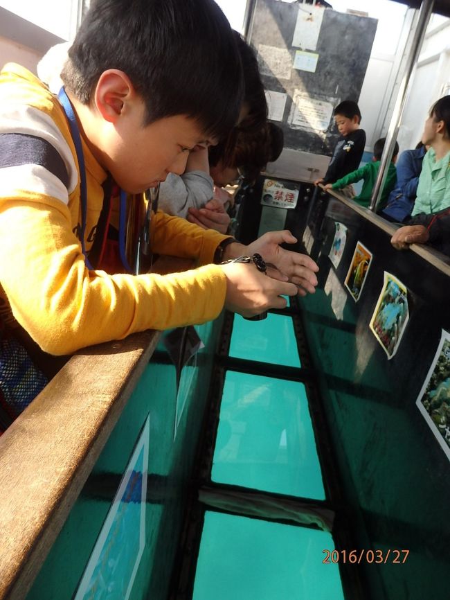 グラスボートに乗りました。<br />ニモ居たよ。