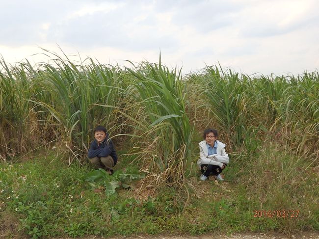 ざわわ、と記念写真撮りました。<br />