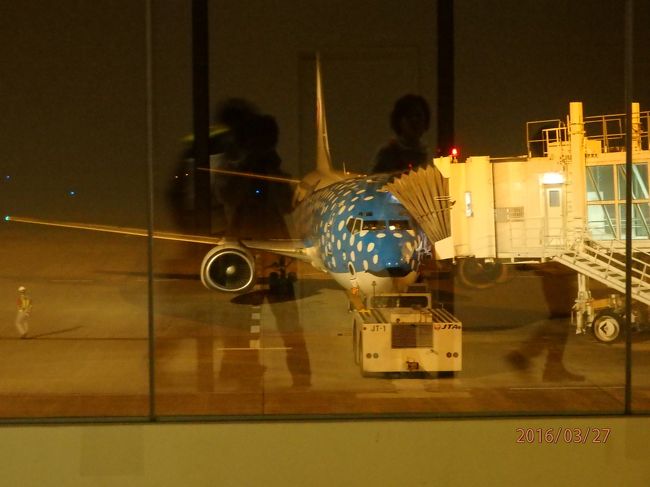 帰りの飛行機は、じんべいジェットでした。