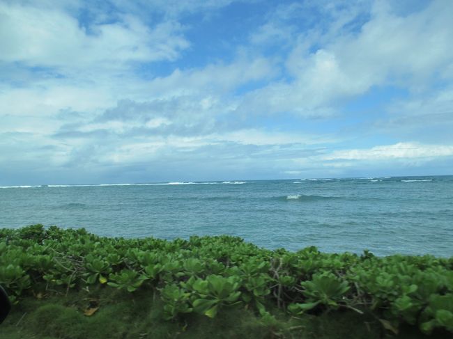 ゆっくりワイキキまで戻ります。