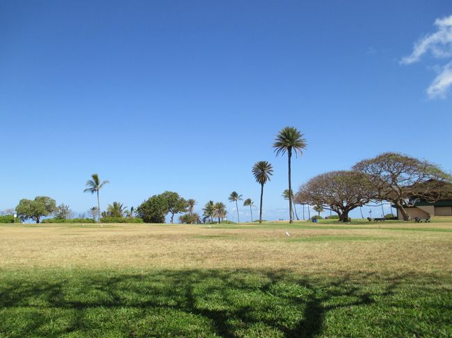 のんびりした時間です。