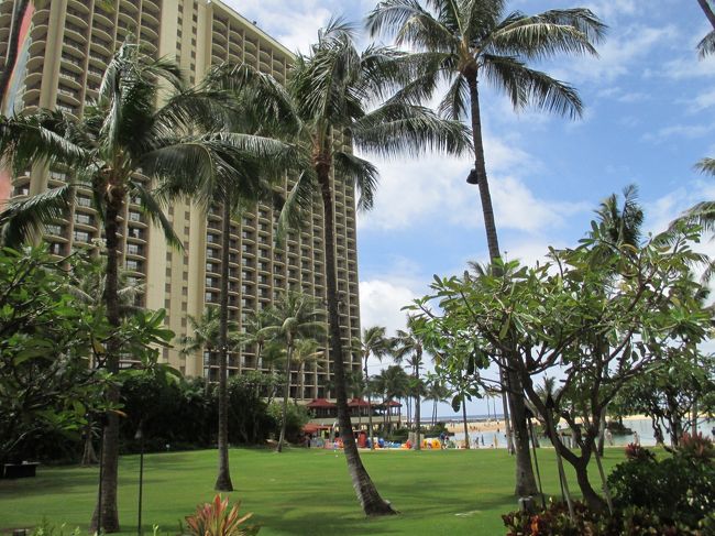 今日も快晴です。