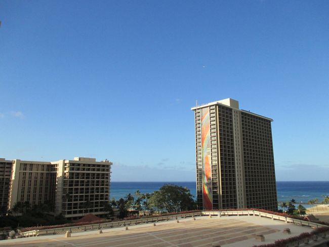 6日目も快晴です。