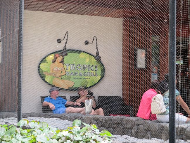 ヒルトンに戻り『TROPICS』へ