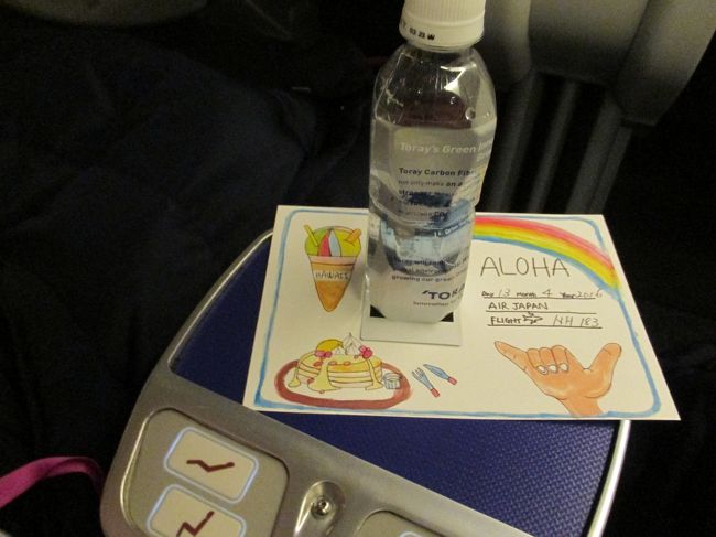 ANAのCAさんが、記念写真を撮ってくれました。<br /><br />ハワイは気候も良く、人も優しく、自然や海がキレイで癒されますね。<br /><br />また、行くぞー！！閲覧ありがとうございました。<br />