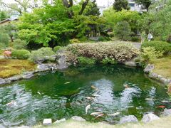 まずは庭園鑑賞

京都五花街の歌舞練場のなかでも　ここは広いですね

ただ　ここも耐震補強の最中でした